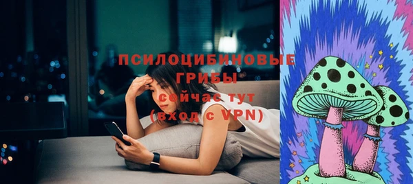 apvp Аркадак